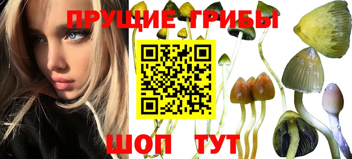Галлюциногенные грибы мицелий  Вход с VPN  наркошоп  Октябрьский 
