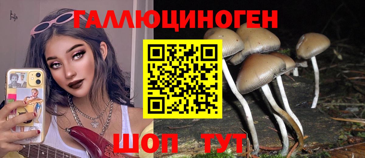 Псилоцибиновые грибы Psilocybe Октябрьский